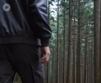 Ranger sample video